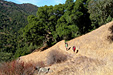 HC_hike